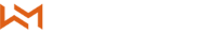 Wirtualne Media Logo