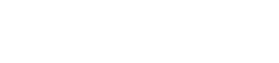 Wirtualne Media logo