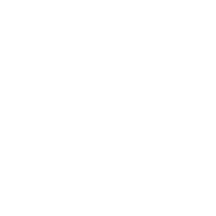 Pzu